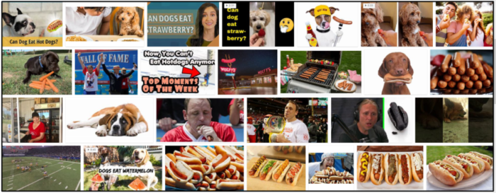 I cani possono mangiare hot dog? Le regole che dovresti conoscere