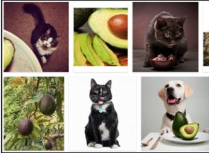 Můžou kočky jíst avokádo? Zjistěte pravdu o avokádu