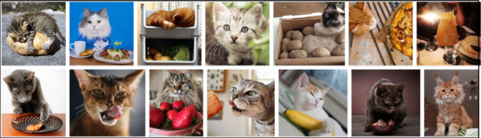 Gatos podem comer batatas? As batatas são seguras para gatos?