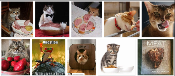 Kunnen katten ham eten? Je zult de waarheid niet geloven