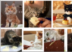 猫はチーズを食べることができますか？チーズは猫にとって安全ですか？
