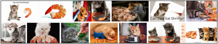 Les chats peuvent-ils manger des crevettes ? Les chats aiment-ils les crevettes ?
