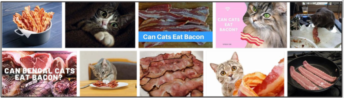 Můžou kočky jíst slaninu? Mají kočky rády slaninu?