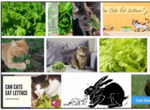 Могут ли кошки есть салат? Раскрыты некоторые истины и неправды
