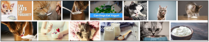 Могут ли кошки есть йогурт? Узнайте невероятную правду