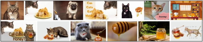 猫は蜂蜜を食べることができますか？真実を見つけます 