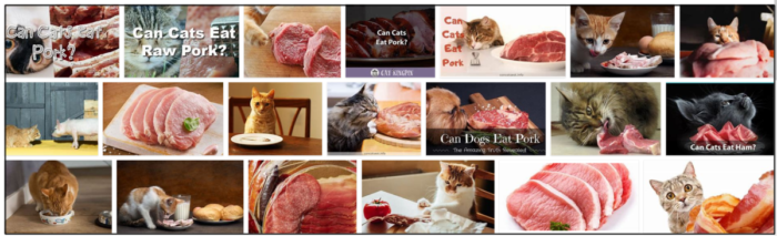 I gatti possono mangiare carne di maiale? La sorprendente verità al riguardo