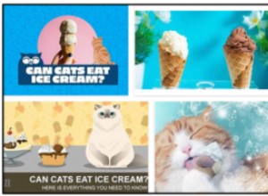 Mohou kočky jíst zmrzlinu? Když si to přečtete, nebudete věřit
