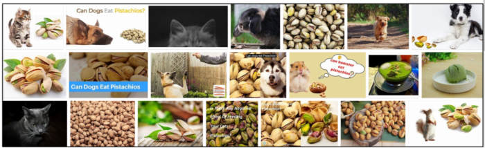 Kan katter äta pistagenötter? Vilka är fördelarna och nackdelarna med detta mellanmål för katter?