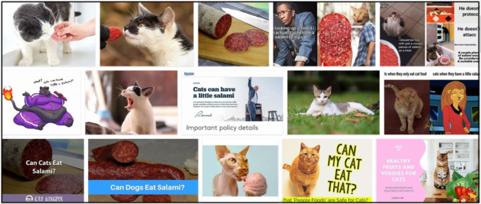 고양이가 살라미 소시지를 먹을 수 있습니까? Salami