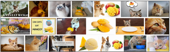 Můžou kočky jíst mango? Až to přečtete, nebudete věřit