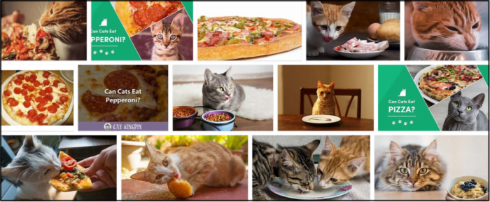 Gatos podem comer calabresa? Pense duas vezes antes de alimentar seu gato com pepperoni
