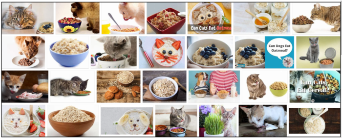 I gatti possono mangiare la farina d avena? Scopri la verità sulla farina d avena