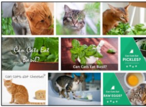 Kunnen katten basilicum eten? Ontdek alle voordelen van de Basil