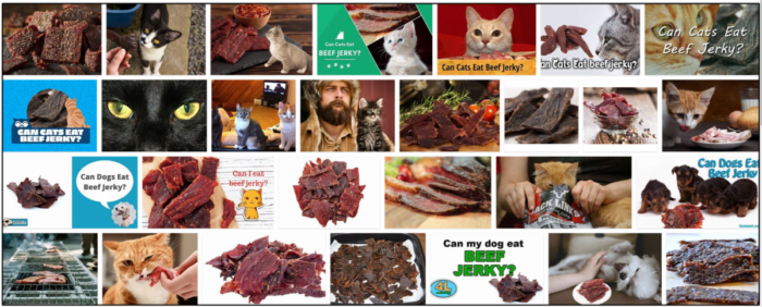 Kan katter äta beef Jerky? Ta reda på sanningen nu