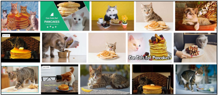 Kan katter äta pannkakor? Är dessa läckra pannkakor säkra för din katt
