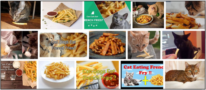 Les chats peuvent-ils manger des frites ? Découvrez la vérité sur les chats et les frites