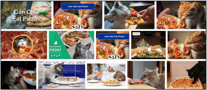 Kan katter äta pizza? Är det säkert eller bör du undvika