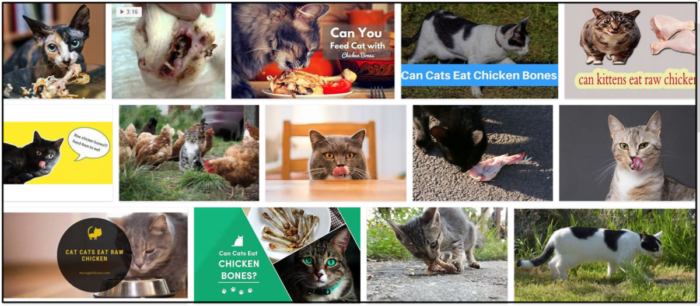 Můžou kočky jíst kuřecí kosti? Jsou kuřecí kosti bezpečné pro vaši kočku?