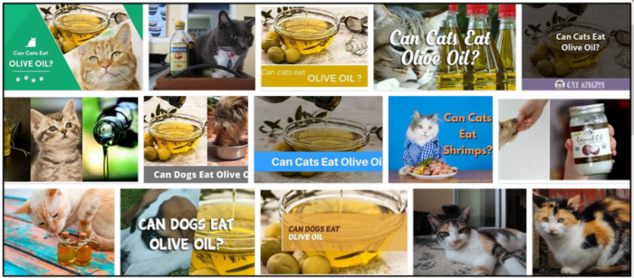 猫はオリーブオイルを食べることができますか？彼らはオリーブオイルが好きかどうか 