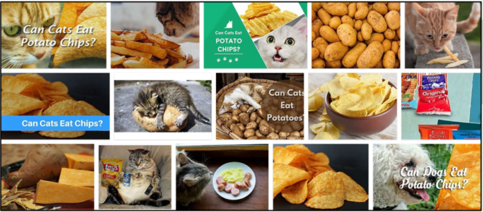 Kan katter äta potatischips? Ska du ge eller inte ge potatischips till din katt?