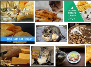 Могут ли кошки есть картофельные чипсы? Давать или не давать картофельные чипсы своей кошке?