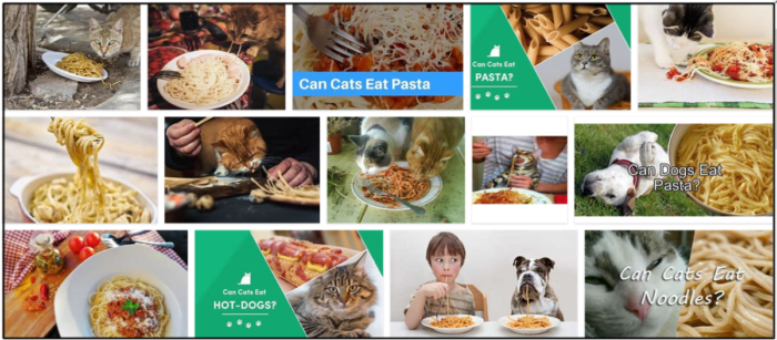 Kan katter äta pasta? Lär dig den otroliga sanningen om pasta