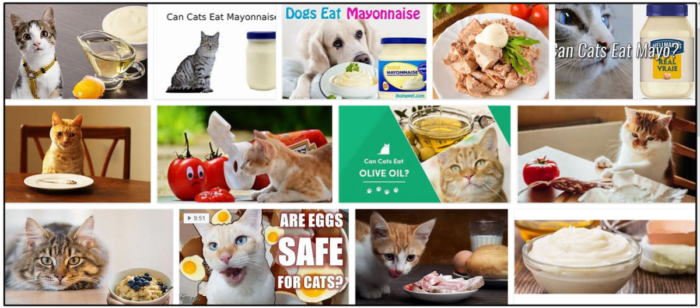 Gatos podem comer maionese? É seguro para eles ou não