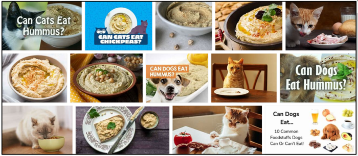I gatti possono mangiare l hummus? Dovresti nutrire i tuoi amici felini con esso