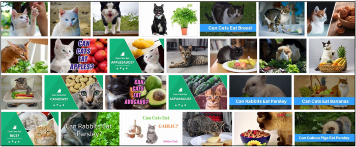 Můžou kočky jíst petržel? Zjistěte vše o kočkách a bylinkách