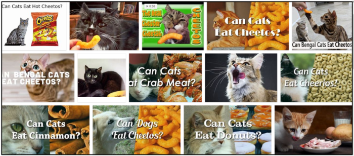 猫はチートスを食べることができますか？彼らにとって健康であるかどうか 