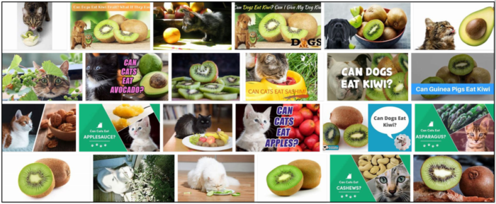 Kan katter äta kiwi? Lär dig den otroliga sanningen