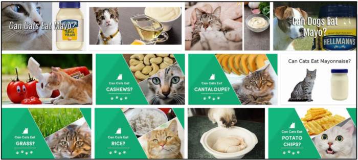 I gatti possono mangiare la maionese? Gli piace o no