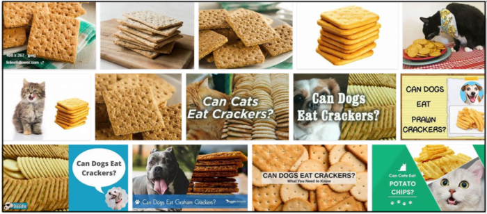 Kunnen katten crackers eten? Leer de ongelooflijke waarheid erover