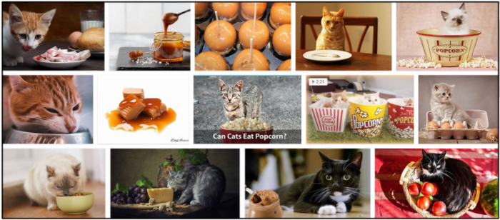 고양이가 카라멜을 먹을 수 있습니까? 건강한 식단을 위한 최선의 방법