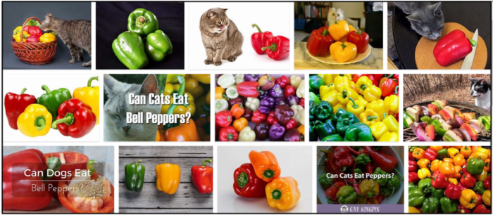 Gatos podem comer pimentão? Todos os benefícios e desvantagens