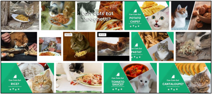 Kan katter äta spaghetti? Är det säkert för dem eller inte