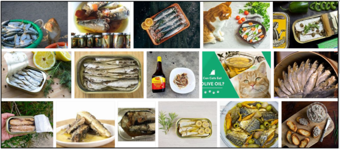 Gatos podem comer sardinha no azeite? Como cuidar da dieta deles