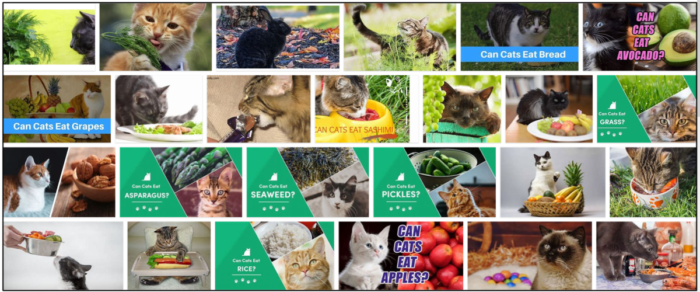 Můžou kočky jíst kopr? Odpovědi na všechny vaše otázky týkající se zdravé výživy