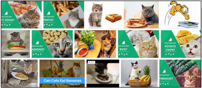 Kunnen katten lasagne eten? Een fascinerend kijkje achter de schermen