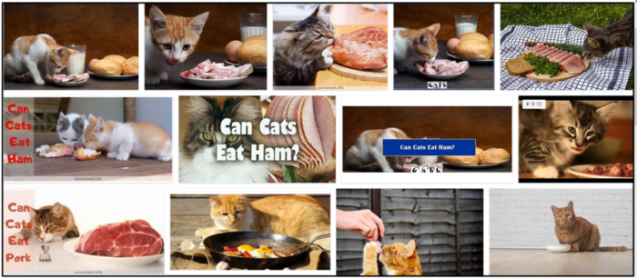 猫はハムを食べることができますか？健康的な食事のための最良のアプローチ 