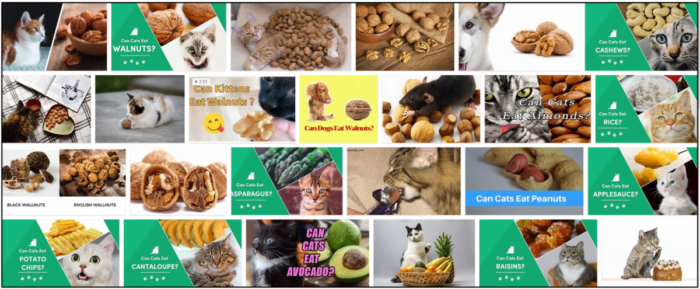 Kan katter äta valnötter? Är det bra för dem eller inte