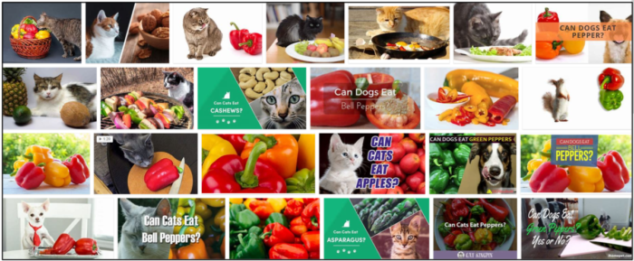 Kunnen katten groene paprika s eten? Moet je eten of juist vermijden