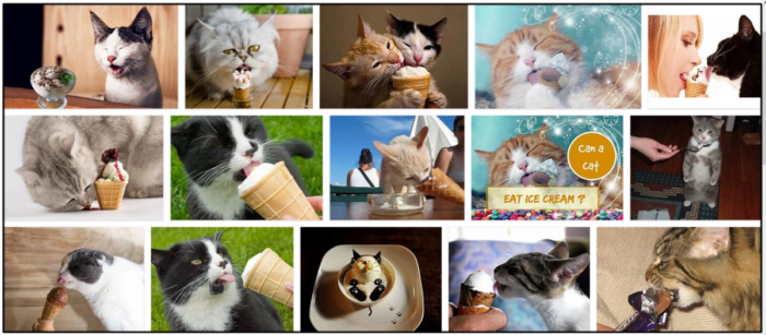 Kunnen katten chocolade-ijs eten? Alle voor- en nadelen