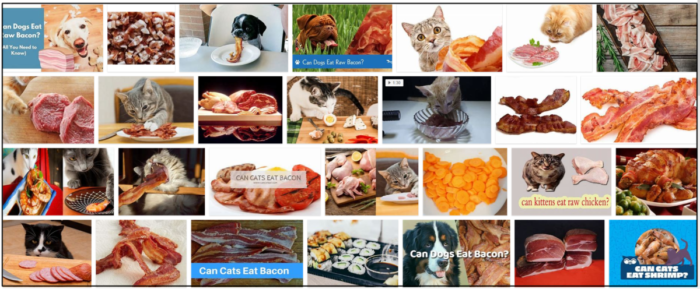 Os gatos podem comer bacon cru? Fatos vitais sobre os quais você deve aprender