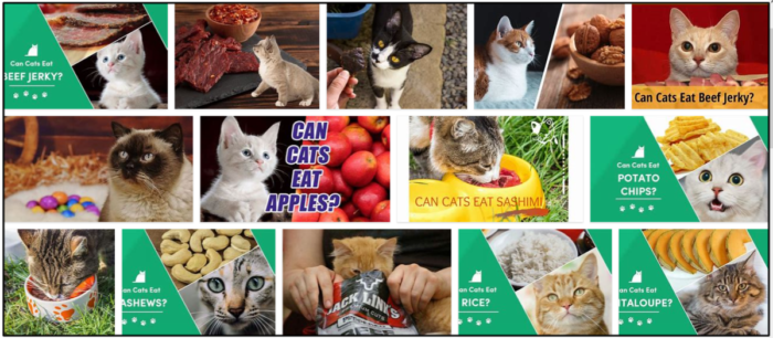 猫はジャーキーを食べることができますか？餌をやる前に読むのに最適な情報源 