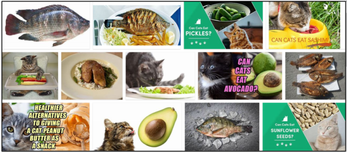 Kunnen katten tilapia eten? Hier is alles wat u erover moet weten