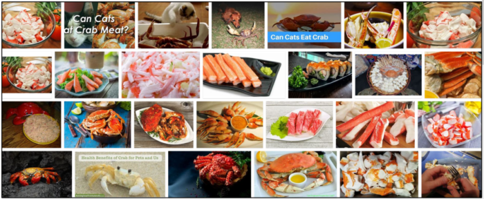 Les chats peuvent-ils manger du faux crabe ? Des raisons incroyables pour en savoir plus