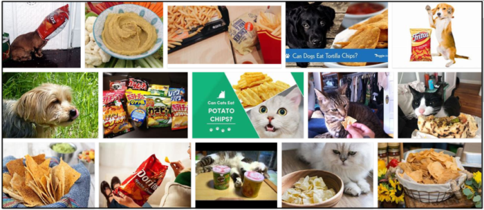 Могут ли кошки есть чипсы из тортильи? Правила, о которых следует знать