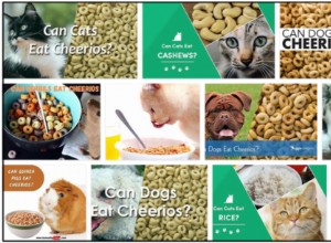 Mohou kočky jíst Cheerios? Naučte se o tom neuvěřitelnou pravdu